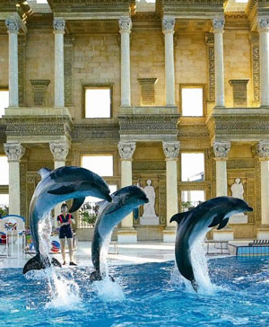 Dolphin Park